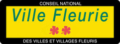 village fleury